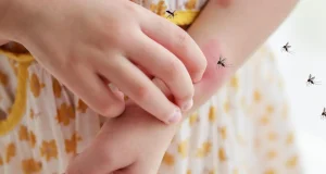 Cara Mencegah DBD dengan Menjaga Lingkungan dan Diri Sendiri